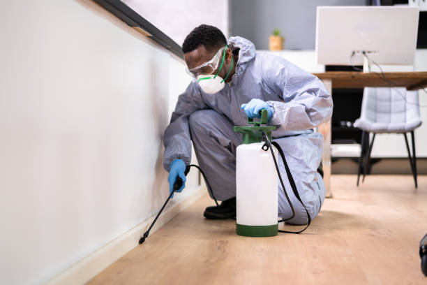 Emergency Pest Control Services in Luverne, MN